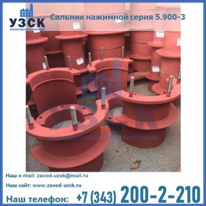 Сальники нажимные серия 5.900-3 в Иваново